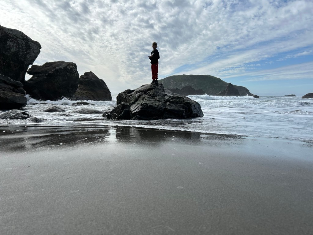 Honoring the Son, Embracing Eternal&nbsp;Life