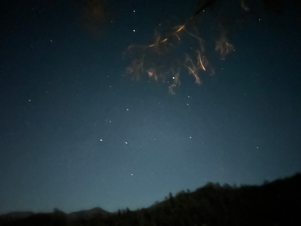 The Eternal Flame of God’s Presence: A Reflection on Leviticus&nbsp;6:13