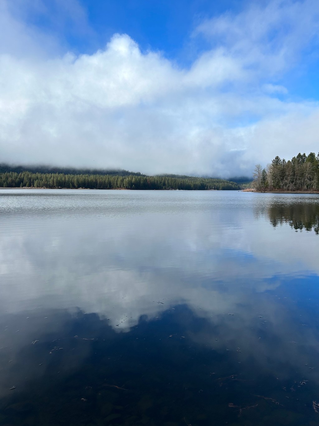 Christ, Our Life: Finding Purpose and Strength in&nbsp;Him