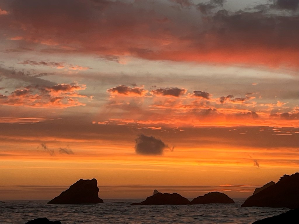 The Cleansing Power of Confession: Finding Hope in the Depths of&nbsp;Sin