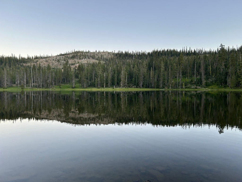 Accepted in the Beloved: A State of Unwavering&nbsp;Privilege