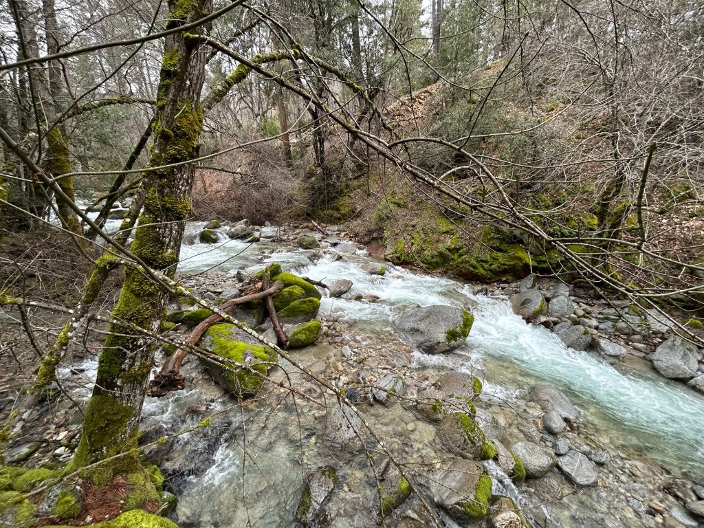 Christ Our Eternal&nbsp;Priest