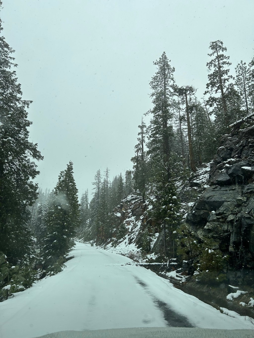 Finding Peace in Christ’s&nbsp;Victory