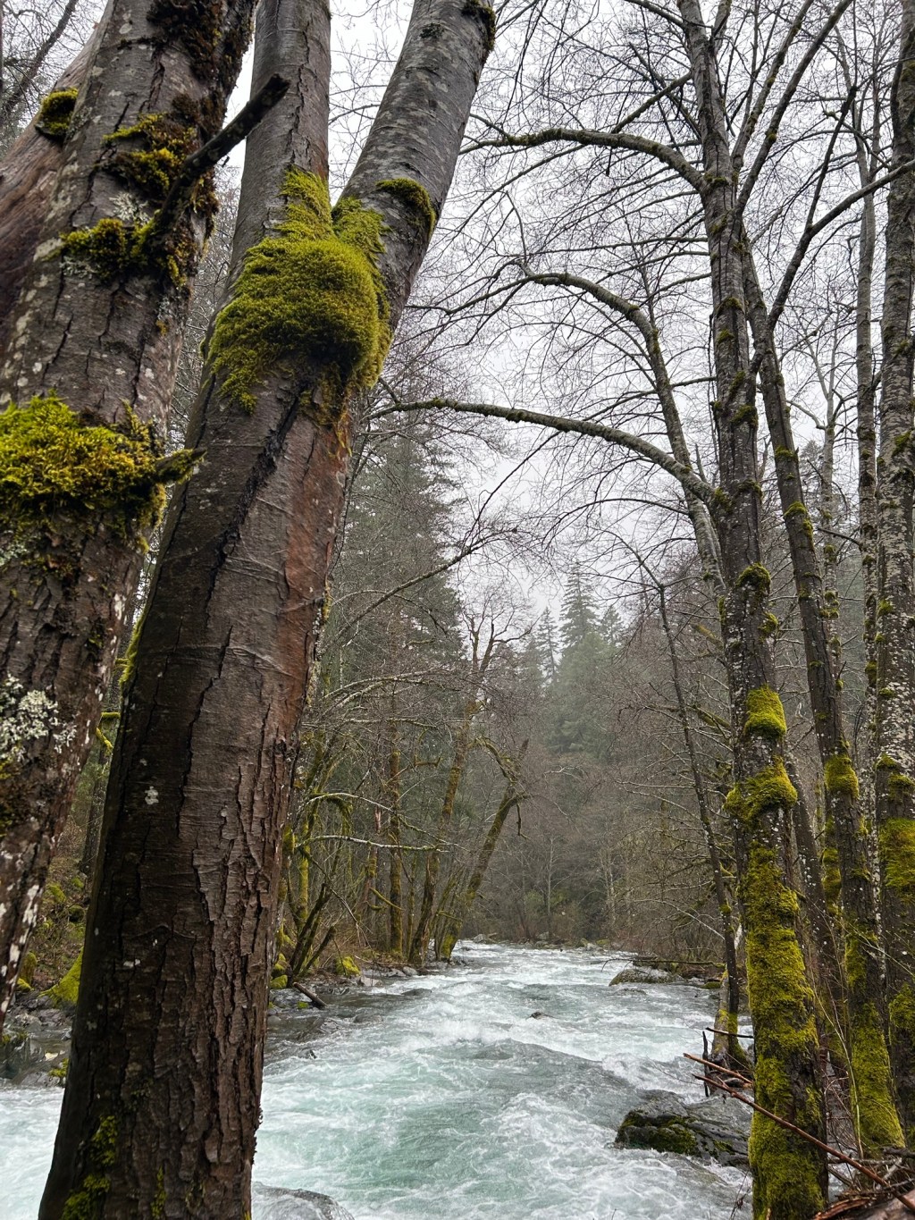 Our Own God: The Intimate Grace of His&nbsp;Presence