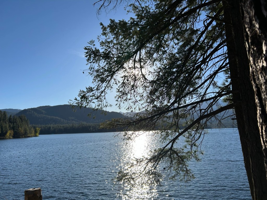 Delivered from Every Affliction: Finding Hope in Psalm&nbsp;34:19