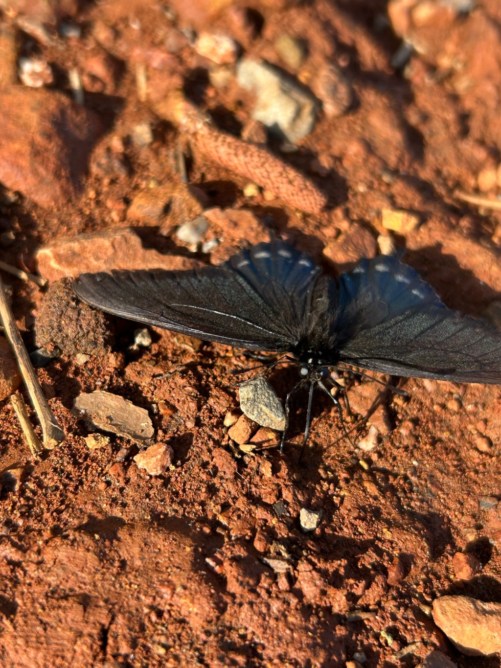 The Beauty of Mercy: Embracing Matthew&nbsp;5:7